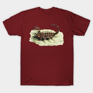 The African Scorpion T-Shirt